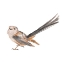 Picture of SONGBIRD  IV