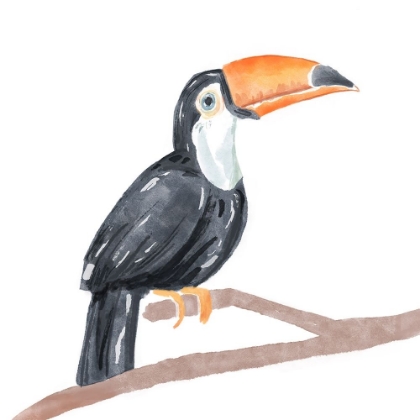 Picture of TROPICAL  TOUCAN I