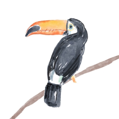 Picture of TROPICAL  TOUCAN II