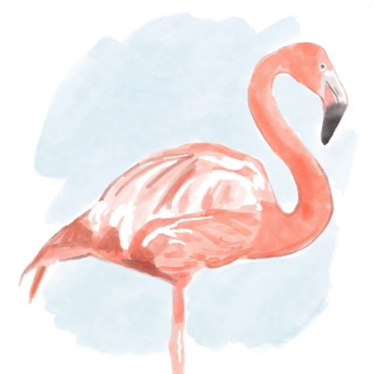Picture of TROPICAL  FLAMINGO II