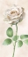 Picture of IVORY  ROSES PANEL I