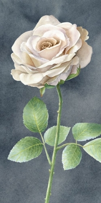 Picture of IVORY  ROSES ON GRAY PANEL I