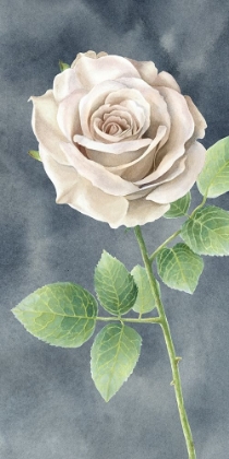 Picture of IVORY  ROSES ON GRAY PANEL II