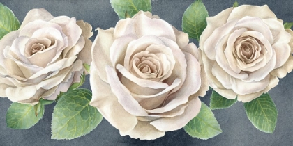 Picture of IVORY  ROSES ON GRAY LANDSCAPE II