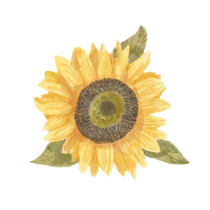 Picture of SINGLE  SUNFLOWER I