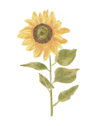 Picture of SINGLE  SUNFLOWER PORTRAIT II