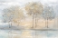 Picture of SERENE SCENE TREES LANDSCAPE