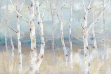 Picture of BIRCH  FIELD LANDSCAPE