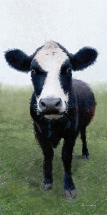 Picture of FUNKY  COW I