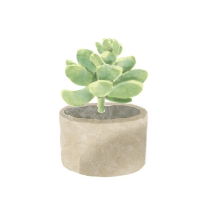 Picture of SIMPLE SUCCULENT II