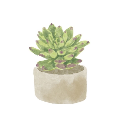 Picture of SIMPLE SUCCULENT III
