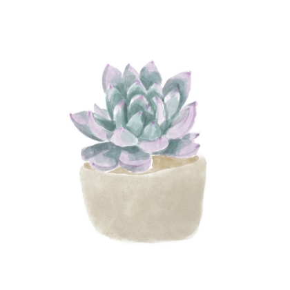 Picture of SIMPLE SUCCULENT IV