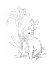 Picture of BUNNY  SKETCH IRIS