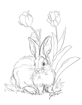 Picture of BUNNY  SKETCH TULIP