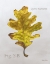 Picture of AUTUMN  LEAVES ON GRAY III-OAK