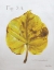 Picture of AUTUMN  LEAVES ON GRAY IV-REDBUD