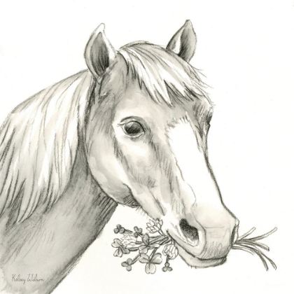 Picture of WATERCOLOR  PENCIL FARM III-HORSE