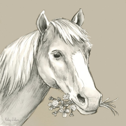 Picture of WATERCOLOR  PENCIL FARM COLOR III-HORSE