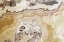 Picture of MARBLE  COLORS BROWN VI