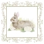 Picture of VINTAGE  EASTER II