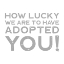 Picture of ADOPTION  SENTIMENTS II-LUCKY