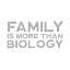 Picture of ADOPTION  SENTIMENTS III-FAMILY