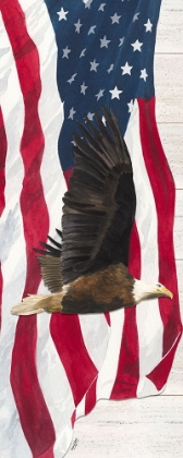 Picture of LET  FREEDOM SOAR VERTICAL II