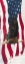 Picture of LET  FREEDOM SOAR VERTICAL II