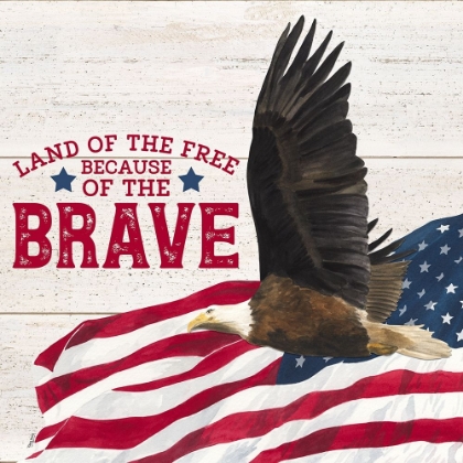 Picture of LET  FREEDOM SOAR SENTIMENT I-THE BRAVE