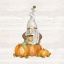 Picture of FALL GNOMES V