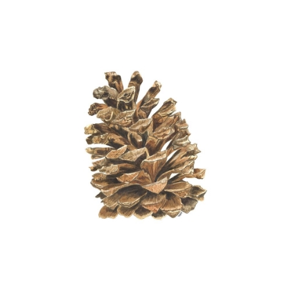 Picture of HOME FOR THE HOLIDAYS ICON VIII-PINECONE 2