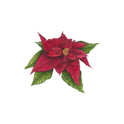 Picture of HOME FOR THE HOLIDAYS ICON X-POINSETTA 1