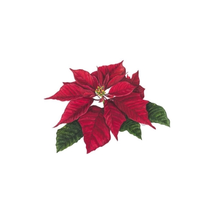 Picture of HOME FOR THE HOLIDAYS ICON XI-POINSETTA 2