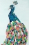 Picture of POP PEACOCK II
