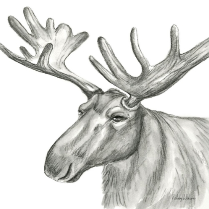 Picture of WATERCOLOR PENCIL FOREST I-MOOSE