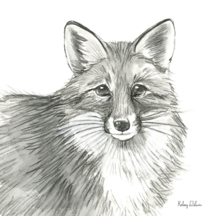 Picture of WATERCOLOR PENCIL FOREST III-FOX