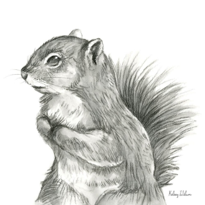 Picture of WATERCOLOR PENCIL FOREST IV-SQUIRREL