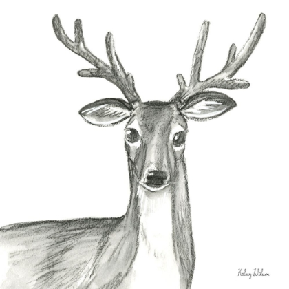 Picture of WATERCOLOR PENCIL FOREST VIII-DEER