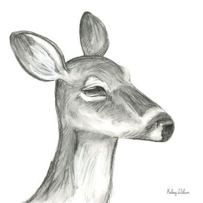 Picture of WATERCOLOR PENCIL FOREST IX-FAWN