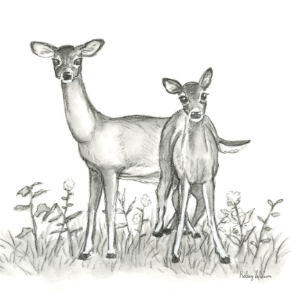 Picture of WATERCOLOR PENCIL FOREST X-DEER FAMILY