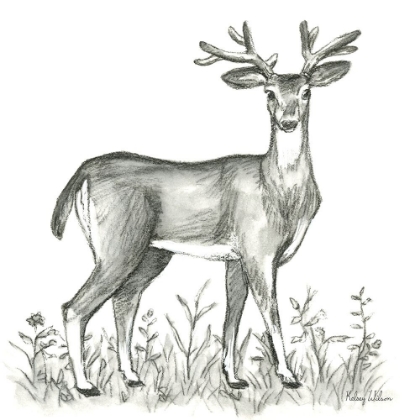 Picture of WATERCOLOR PENCIL FOREST XI-DEER 2