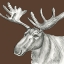 Picture of WATERCOLOR PENCIL FOREST COLOR I-MOOSE
