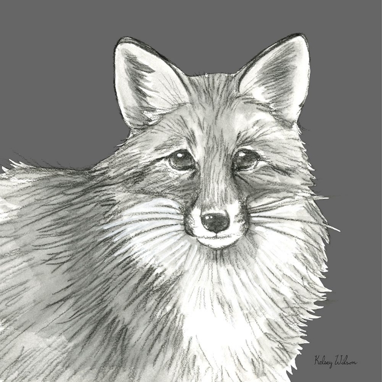 Picture of WATERCOLOR PENCIL FOREST COLOR III-FOX