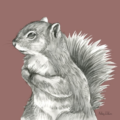 Picture of WATERCOLOR PENCIL FOREST COLOR IV-SQUIRREL