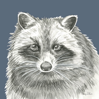 Picture of WATERCOLOR PENCIL FOREST COLOR VI-RACCOON