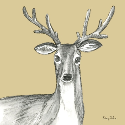 Picture of WATERCOLOR PENCIL FOREST COLOR VIII-DEER