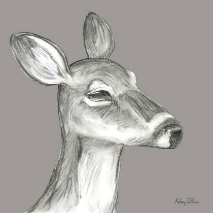 Picture of WATERCOLOR PENCIL FOREST COLOR IX-FAWN
