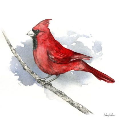 Picture of BIRDS AND BRANCHES I-CARDINAL