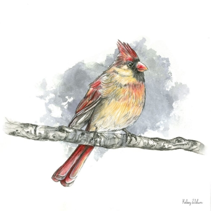 Picture of BIRDS AND BRANCHES II-FEMALE CARDINAL