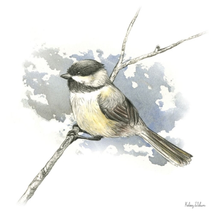 Picture of BIRDS AND BRANCHES III-CHICKADEE